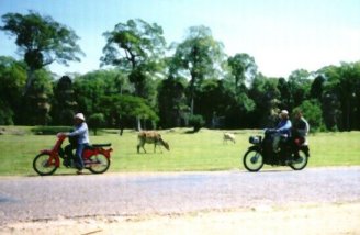 ���̃e���X�̑O�𑖂�o�C�N