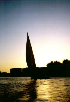 �i�C����ɕ����ԃt�@���[�J