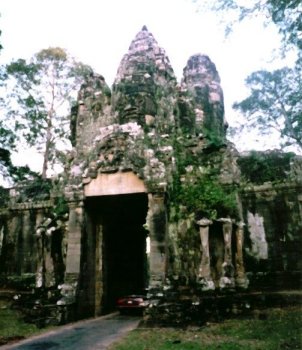 �����̖�