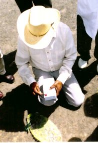 ���F�̎���