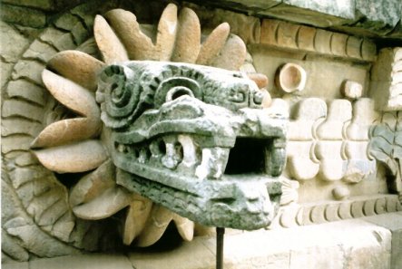 �e�B�I�e�B���J���̃P�b�c�@���R�A�g��