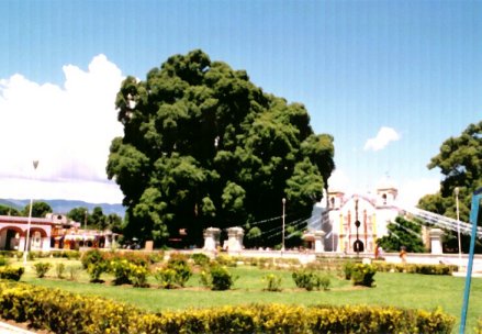 �T���^�E�}���A�E�f���E�g�D�[��