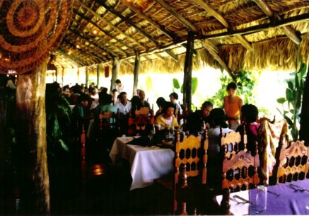 ���X�E�`���p�l�J�X