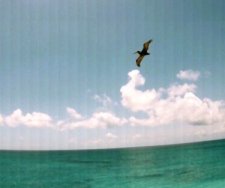 �ڂ̑O�Ƀy���J���H