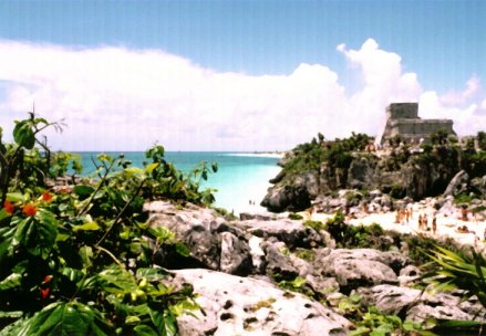 �g�D�������