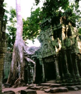 �^�E�v���[��