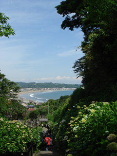 0806011320@kamakura,kanagawa