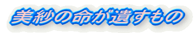 白倉美紗さん交通死事件