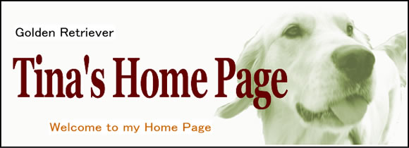 Tina's Home Page