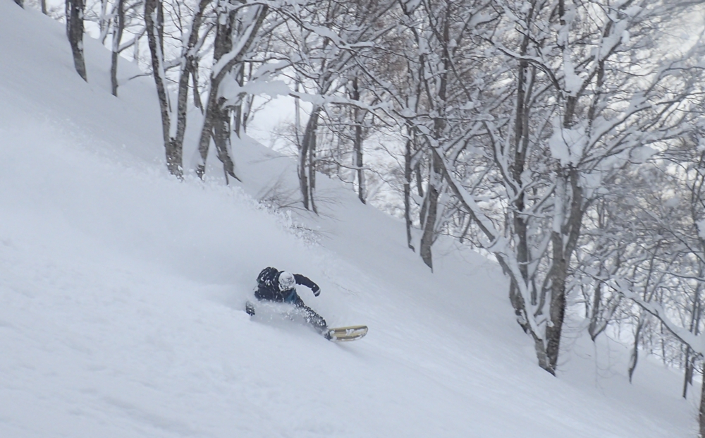 p21101012082cc83r83s815b.jpg
