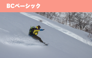 BCベーシック