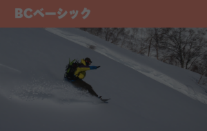 BCベーシック