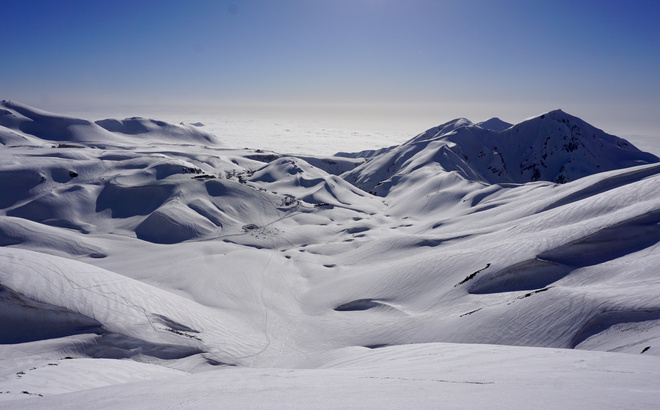 org_dsc05247.jpg
