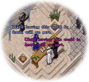 ܂B