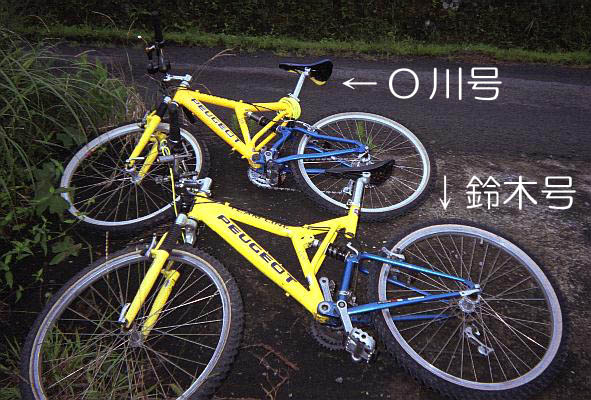 プジョー×2