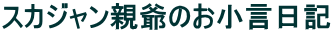 �X�J�W�����e��̂��������L