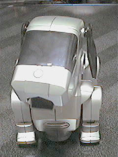 T-DOG 2000