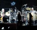 Waddy,drum & percussion