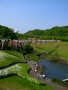 mmrz04-04-20-s.jpg