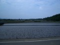mmrz05-05-29-s.jpg