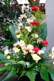 コタキナバルの花々