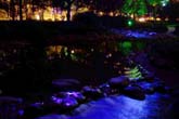 夜の公園：クリックで拡大