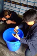 器用に縛っていく：クリックで拡大