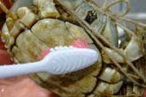 まずは身を清める：クリックで拡大