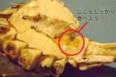解体行程：クリックで拡大