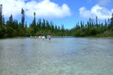 Piscine Naturelle