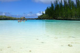 Piscine Naturelle