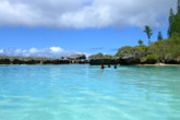 Piscine Naturelle