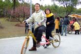 世紀公園