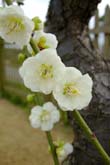 世紀公園