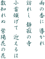 J̍ 

Kꂵ Î̎

X }

m zԂ̉