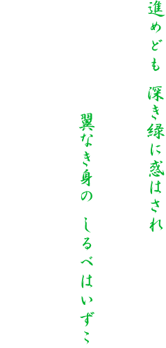 i߂ǂ [΂ɘf͂


@@@@@@@@@@@@@@@@@@@@@@@@@
@@@@@@Ȃg ׂ͂


                                                                                     