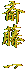 ֓ 
