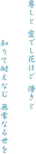  łԂق R


         mđςȂ Ȃ鐢