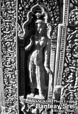 ���m�̃��i���U