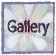 Gallery(Tumblrへ)