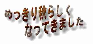 �߂�����H�炵���Ȃ��Ă��܂���