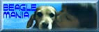 �o�i�[�@���[�������́uBEAGLE�@MANIA�v