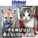 �o�i�[�uLifeboat�i���C�t�{�[�g�j�v