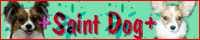 �o�i�[�u�{Saint Dog�{�v