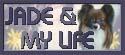 �o�i�[�uJADE��MY�@LIFE�v