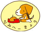 �Ȃ݂ց[�v���[�g