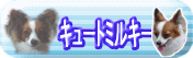�o�i�[�u�L���[�g�~���L�[�v