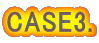 CASE3.