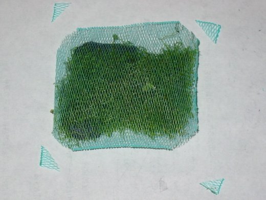 g債ʐ^ʂĂ܂FNbNƌɖ߂܂
