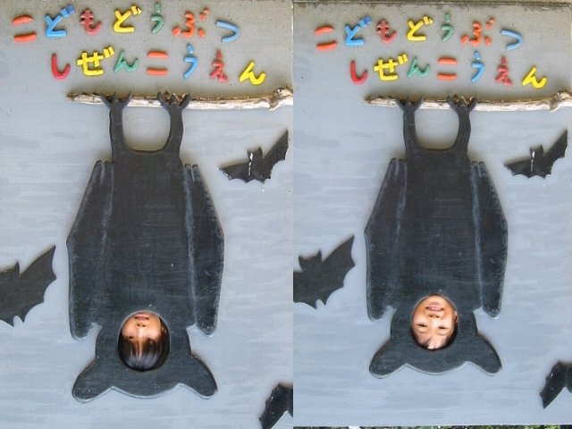 g債ʐ^ʂĂ܂FNbNƌɖ߂܂